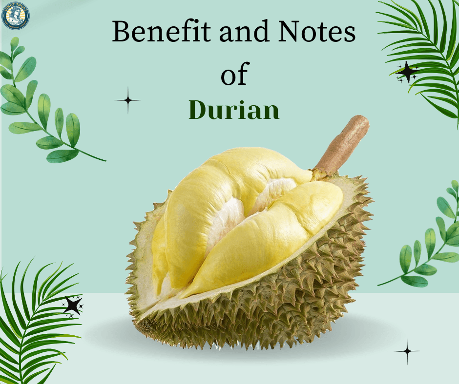 Durian’s Hidden Treasures: 8 Health Benefits You Did Not Know About