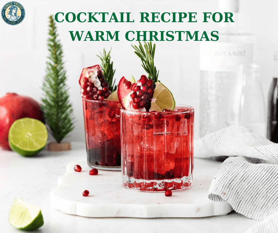 Wonderful Pomegranate Cocktail for a Cozy Christmas Night!