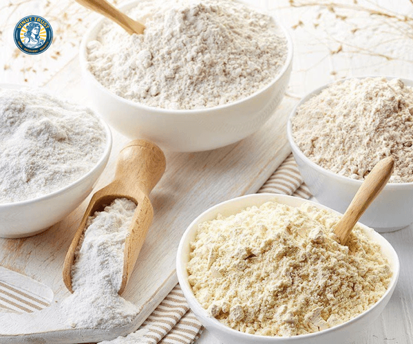 Top 5 Best Powder Products for Healthy