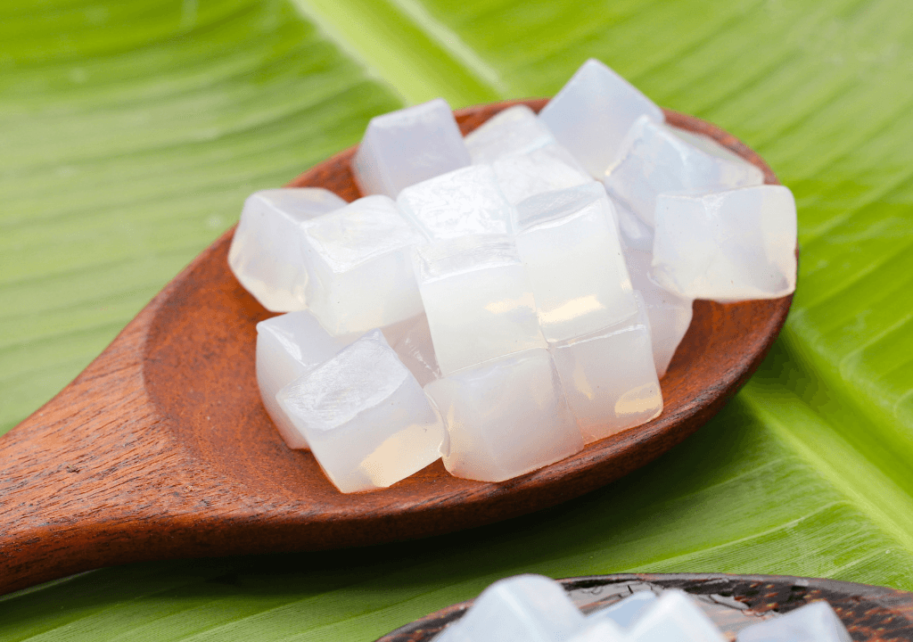 nata de coco