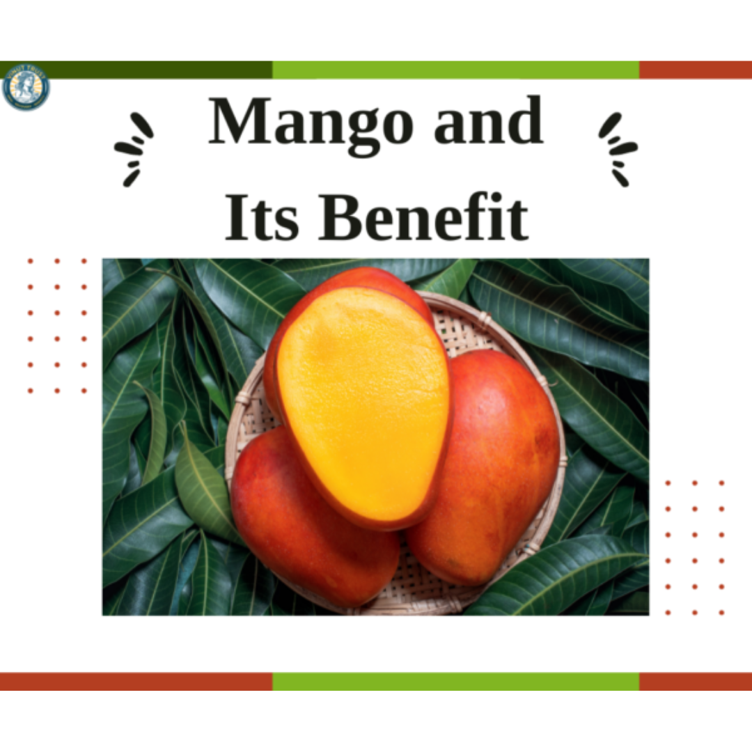 Mango fruit