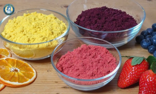 Vinut Trust_Natural Fruit Powders