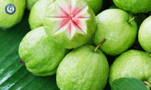 Vinut Trust_The Nutritional Benefits of Guava Juice